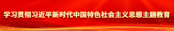 大屌戳嫰屄学习贯彻习近平新时代中国特色社会主义思想主题教育